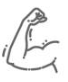 Upper Limb